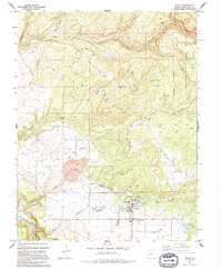 Download a high-resolution, GPS-compatible USGS topo map for Nucla, CO (1994 edition)