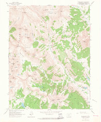 Download a high-resolution, GPS-compatible USGS topo map for Oh-Be-Joyful, CO (1964 edition)