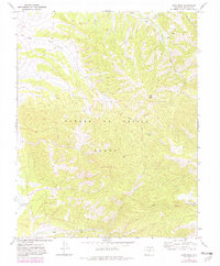 Download a high-resolution, GPS-compatible USGS topo map for Ojito Peak, CO (1982 edition)