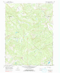 Download a high-resolution, GPS-compatible USGS topo map for Pagoda Peak, CO (1990 edition)