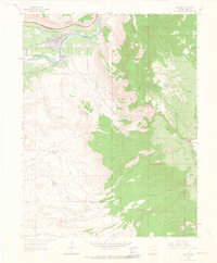 historical topo map of Palisade, CO in 1962
