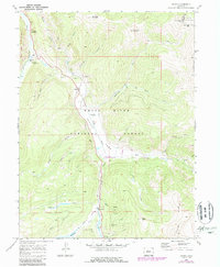 Download a high-resolution, GPS-compatible USGS topo map for Pando, CO (1988 edition)
