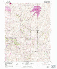 Download a high-resolution, GPS-compatible USGS topo map for Piney Creek, CO (1994 edition)