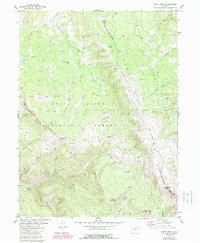 preview thumbnail of historical topo map of Eagle County, CO in 1980