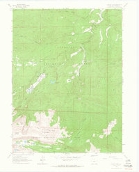 Download a high-resolution, GPS-compatible USGS topo map for Pingree Park, CO (1964 edition)