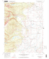 Download a high-resolution, GPS-compatible USGS topo map for Pitchpine Mountain, CO (1990 edition)