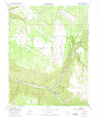 Download a high-resolution, GPS-compatible USGS topo map for Placerville, CO (1974 edition)