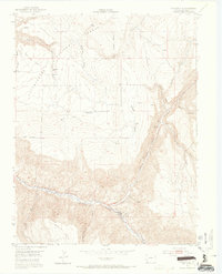 Download a high-resolution, GPS-compatible USGS topo map for Placerville, CO (1965 edition)