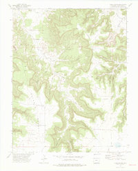 Download a high-resolution, GPS-compatible USGS topo map for Plum Canyon, CO (1975 edition)