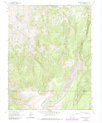 Download a high-resolution, GPS-compatible USGS topo map for Powderhorn Lakes, CO (1984 edition)