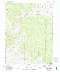 Download a high-resolution, GPS-compatible USGS topo map for Quaker Mountain, CO (1979 edition)