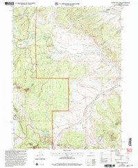 Download a high-resolution, GPS-compatible USGS topo map for Rabbit Ears Peak, CO (2004 edition)
