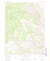 Download a high-resolution, GPS-compatible USGS topo map for Ralston Buttes, CO (1984 edition)