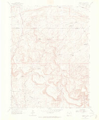 Download a high-resolution, GPS-compatible USGS topo map for Rangely NE, CO (1965 edition)
