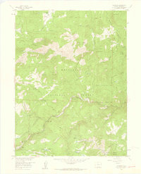 Download a high-resolution, GPS-compatible USGS topo map for Raymond, CO (1959 edition)
