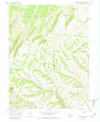 Download a high-resolution, GPS-compatible USGS topo map for Razorback Ridge, CO (1980 edition)