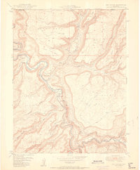 preview thumbnail of historical topo map of Montrose County, CO in 1950