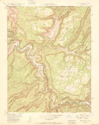 preview thumbnail of historical topo map of Montrose County, CO in 1950
