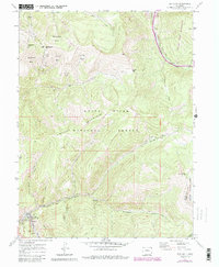 Download a high-resolution, GPS-compatible USGS topo map for Red Cliff, CO (1988 edition)
