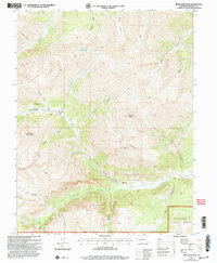 Download a high-resolution, GPS-compatible USGS topo map for Redcloud Peak, CO (2004 edition)