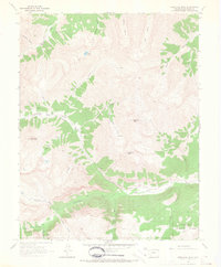 Download a high-resolution, GPS-compatible USGS topo map for Redcloud Peak, CO (1967 edition)
