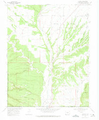 Download a high-resolution, GPS-compatible USGS topo map for Redmesa, CO (1975 edition)