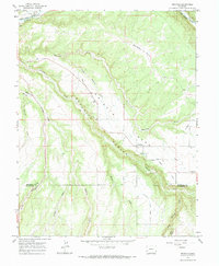 Download a high-resolution, GPS-compatible USGS topo map for Redvale, CO (1984 edition)