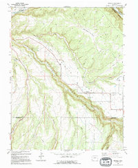 Download a high-resolution, GPS-compatible USGS topo map for Redvale, CO (1994 edition)