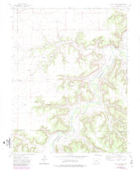 Download a high-resolution, GPS-compatible USGS topo map for Riley Canyon, CO (1985 edition)