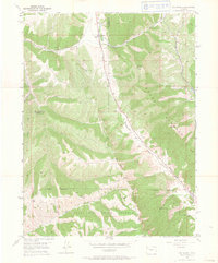 Download a high-resolution, GPS-compatible USGS topo map for Rio Blanco, CO (1964 edition)