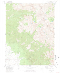Download a high-resolution, GPS-compatible USGS topo map for Rito Alto Peak, CO (1981 edition)