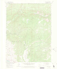 Download a high-resolution, GPS-compatible USGS topo map for Rocky Peak, CO (1971 edition)