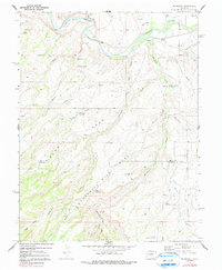Download a high-resolution, GPS-compatible USGS topo map for Roubideau, CO (1991 edition)