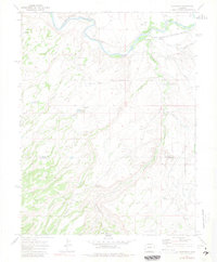 Download a high-resolution, GPS-compatible USGS topo map for Roubideau, CO (1981 edition)
