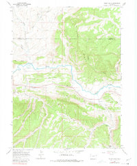 Download a high-resolution, GPS-compatible USGS topo map for Rough Gulch, CO (1980 edition)