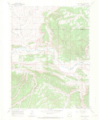 Download a high-resolution, GPS-compatible USGS topo map for Rough Gulch, CO (1969 edition)