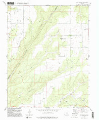 Download a high-resolution, GPS-compatible USGS topo map for Ruin Canyon, CO (1994 edition)