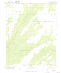 Download a high-resolution, GPS-compatible USGS topo map for Ruin Canyon, CO (1979 edition)