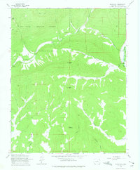 Download a high-resolution, GPS-compatible USGS topo map for Rules Hill, CO (1975 edition)
