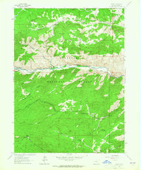 Download a high-resolution, GPS-compatible USGS topo map for Rustic, CO (1965 edition)