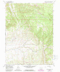 Download a high-resolution, GPS-compatible USGS topo map for Sawmill Mountain, CO (1988 edition)