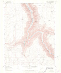 Download a high-resolution, GPS-compatible USGS topo map for Secret Canyon, CO (1968 edition)