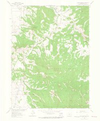 Download a high-resolution, GPS-compatible USGS topo map for Shield Mountain, CO (1964 edition)