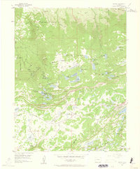Download a high-resolution, GPS-compatible USGS topo map for Skyway, CO (1960 edition)