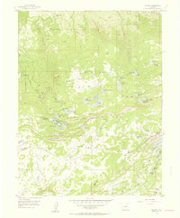 Download a high-resolution, GPS-compatible USGS topo map for Skyway, CO (1957 edition)