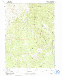 Download a high-resolution, GPS-compatible USGS topo map for Sleepy Cat Peak, CO (1992 edition)