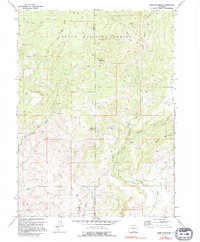 Download a high-resolution, GPS-compatible USGS topo map for Slide Mountain, CO (1995 edition)