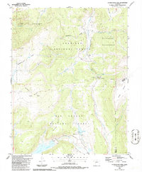 Download a high-resolution, GPS-compatible USGS topo map for Slumgullion Pass, CO (1986 edition)