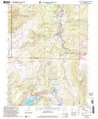 Download a high-resolution, GPS-compatible USGS topo map for Slumgullion Pass, CO (2005 edition)
