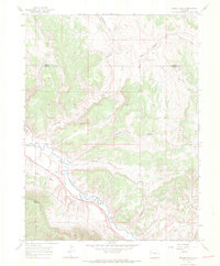 Download a high-resolution, GPS-compatible USGS topo map for Smizer Gulch, CO (1969 edition)